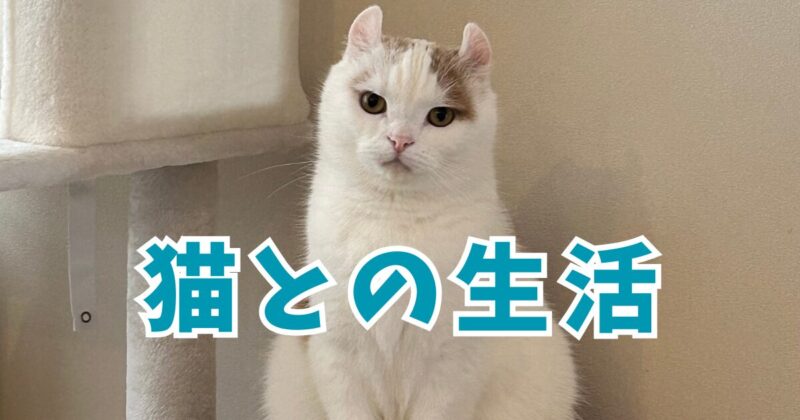 猫と暮らす