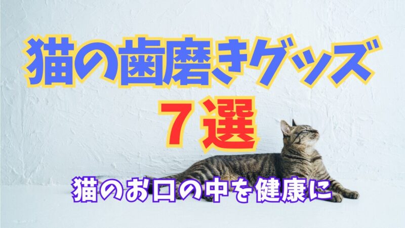 猫歯磨きグッズおすすめアイキャッチ